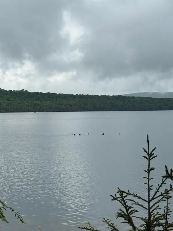 416 S Shore Road, Island Falls, ME 04747