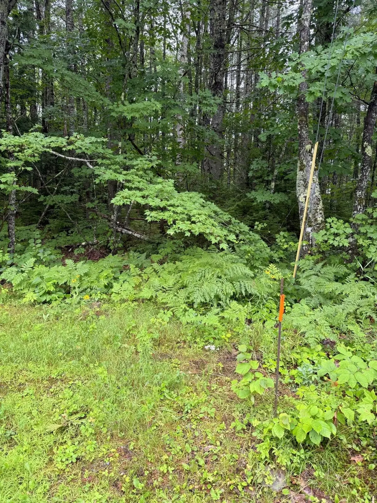 Lot 9B Whites Lane & Marquis Drive, Chesterville, ME 04938 - #1