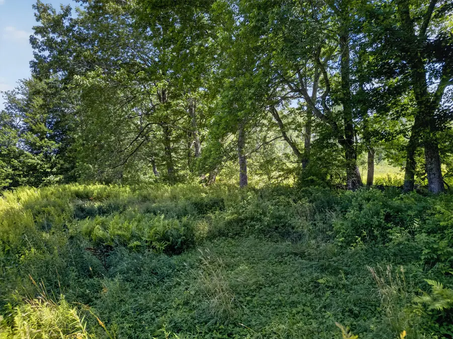 Lot #089 Nelson Road, Chelsea, ME 04330 - #2
