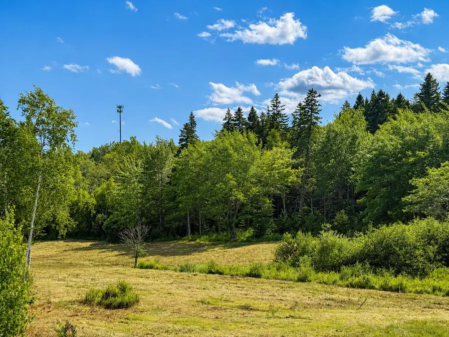 MAP9LOT1B Newman Street, Winter Harbor, ME 04693 - #2