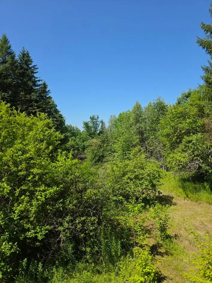 871 Estabrook Road, Amity, ME 04471 - #3