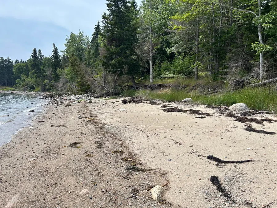 557 Paul Bunyan Road, Gouldsboro, ME 04607 - #3