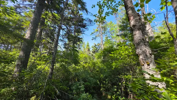 Map 1 Lot 10-2 Patten Rd, Jonesboro, ME 04648