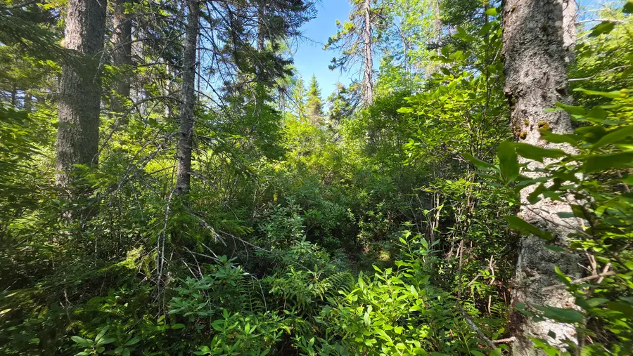 Map 1 Lot 10-2 Patten Rd, Jonesboro, ME 04648 - #2