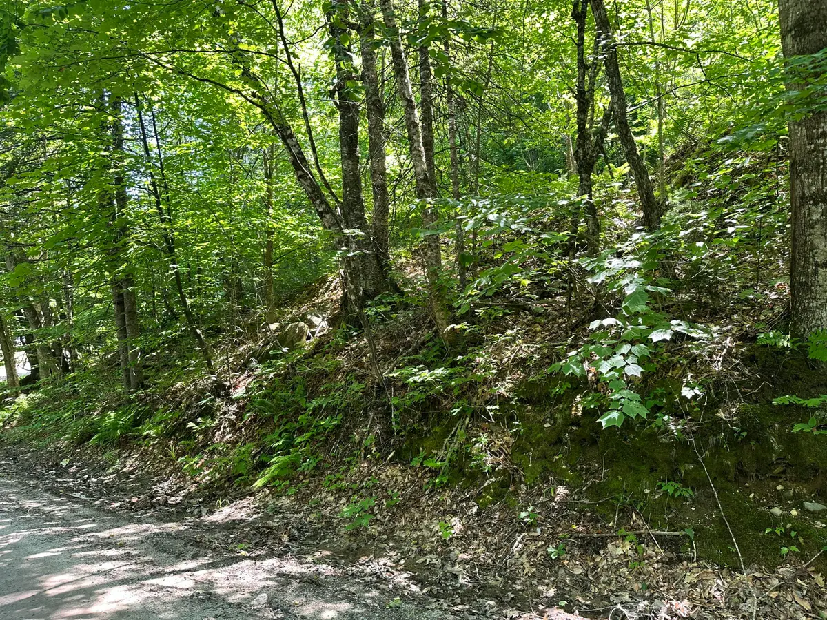 M9L140-G Wiley Road, Norway, ME 04268 - #1