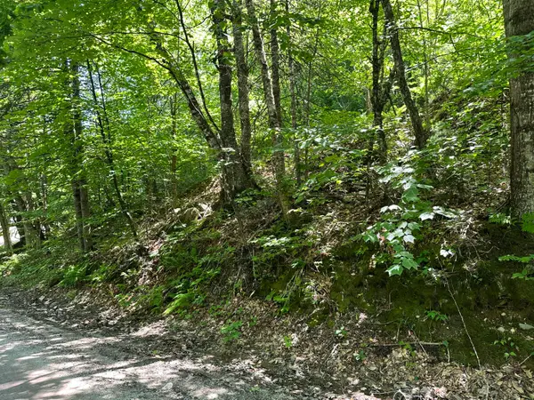 M9L140-G Wiley Road, Norway, ME 04268