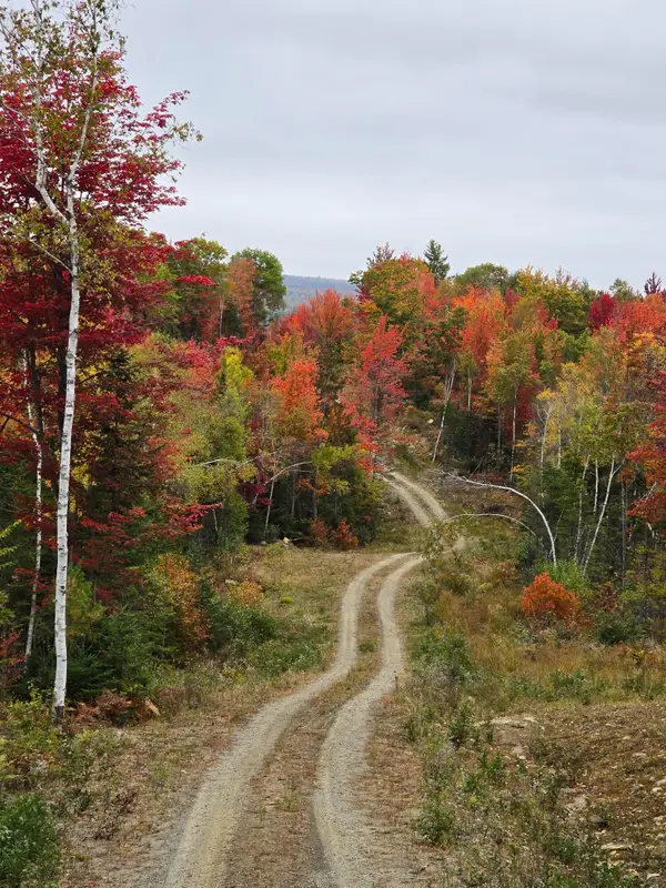 Lot #4 Woods Road, Phillips, ME 04966