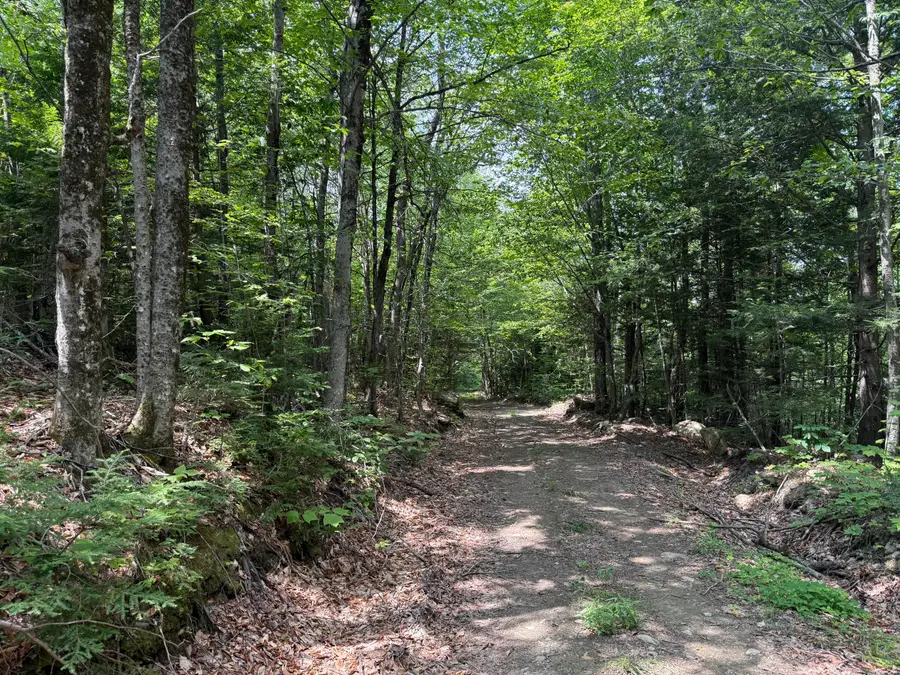 R3 L 2-2 Hampshire Hill Road, Mercer, ME 04957 - #3