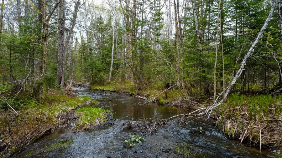 M3L11 Off Route 212, Merrill, ME 04780 - #2