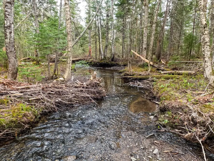 M3L11 Off Route 212, Merrill, ME 04780 - #3