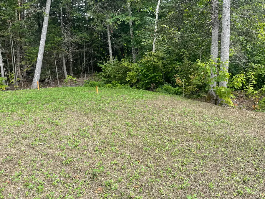 Lot 34 Lake Shore Drive, Stockholm, ME 04783 - #3