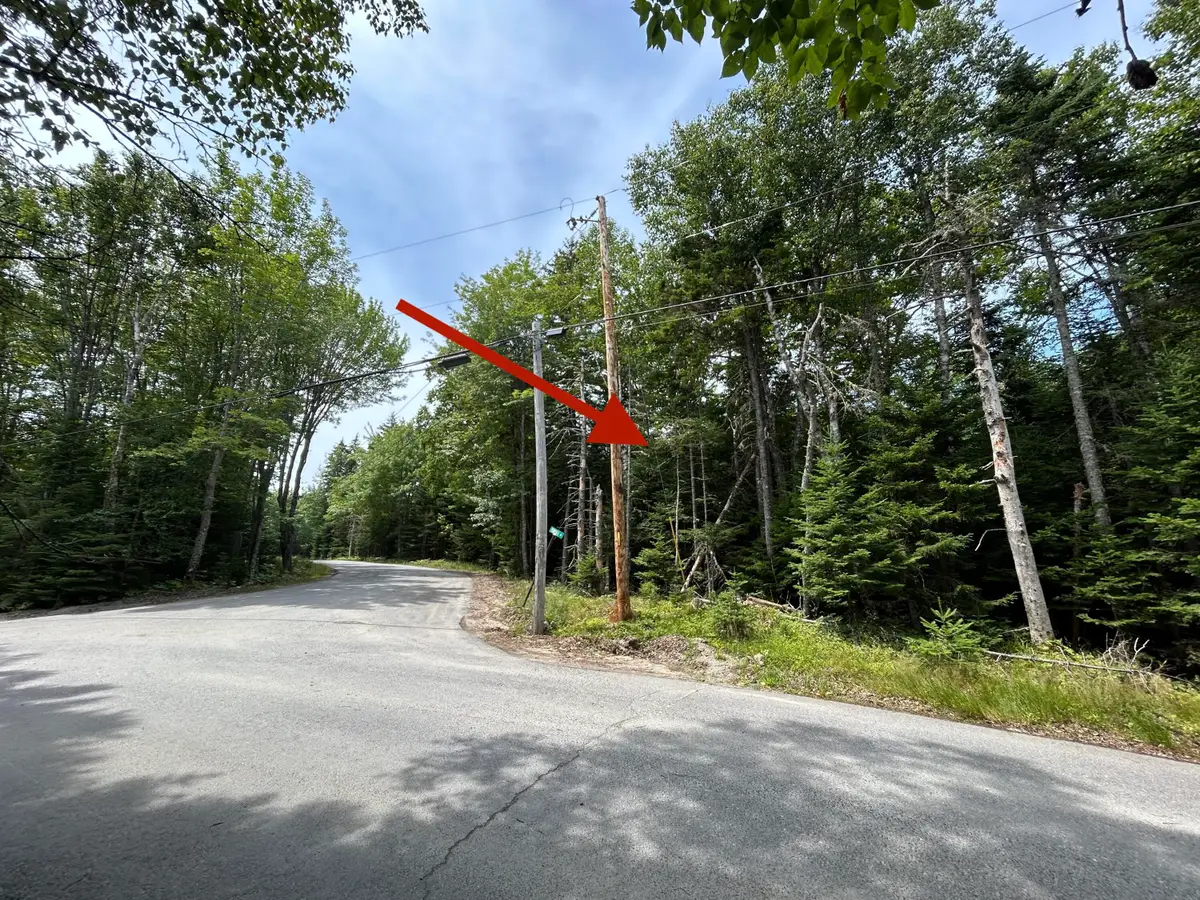 M58, Lot 1 Paul Bunyan Road, Gouldsboro, ME 04607 - #1