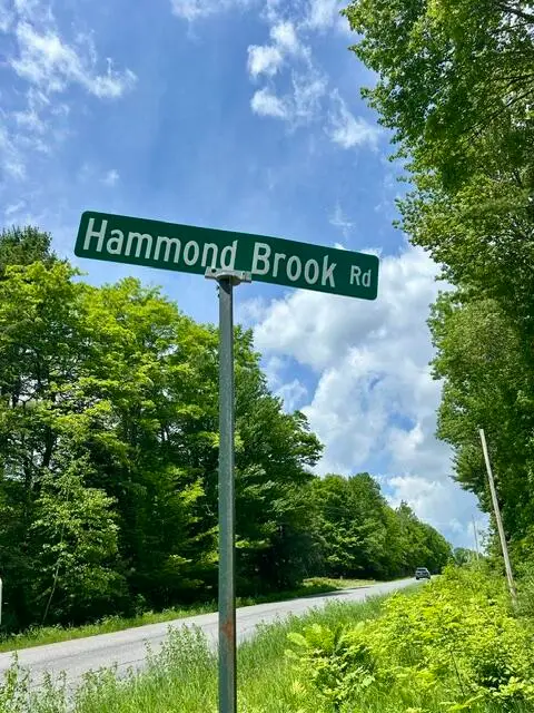 Lot 2 Hammond Brook Road Road, Monson, ME 04464