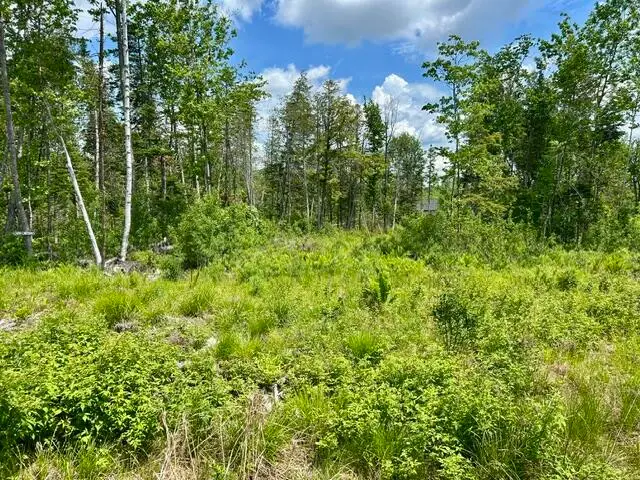 Lot 2 Hammond Brook Road Road, Monson, ME 04464 - #3