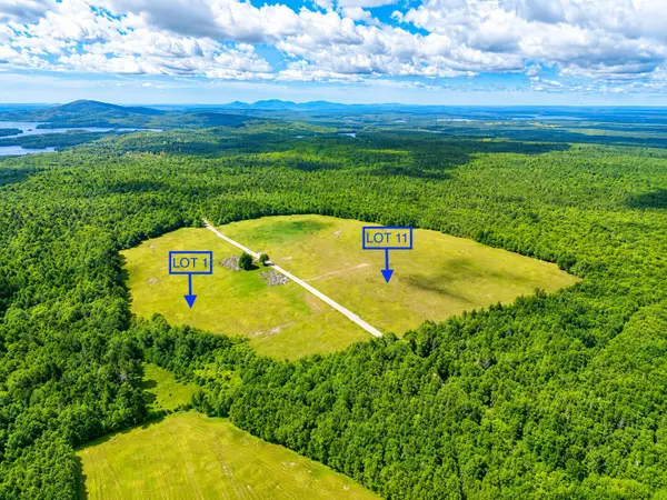 L1,4,9,11 Martins Ridge Road, Franklin, ME 04634