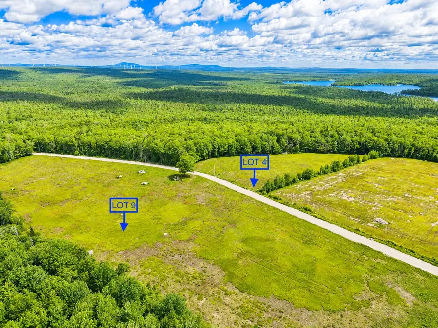 L1,4,9,11 Martins Ridge Road, Franklin, ME 04634 - #3