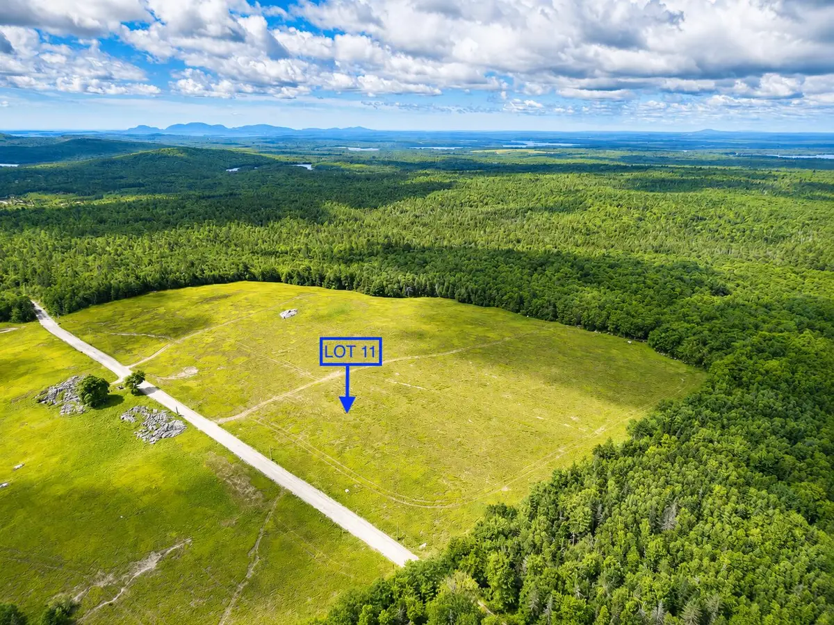 MAP13LOT11 Martins Ridge Road, Franklin, ME 04634 - #1