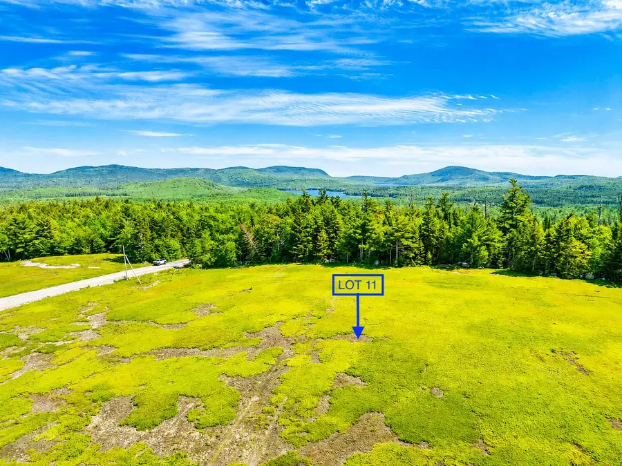 MAP13LOT11 Martins Ridge Road, Franklin, ME 04634 - #3