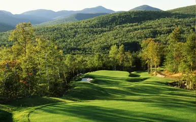 Lot 55 Trillium, Newry, ME 04261