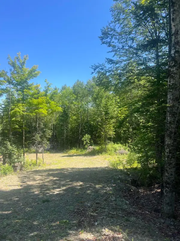 Lot 23.3 Forest City Road, Forest City Twp, ME 04413