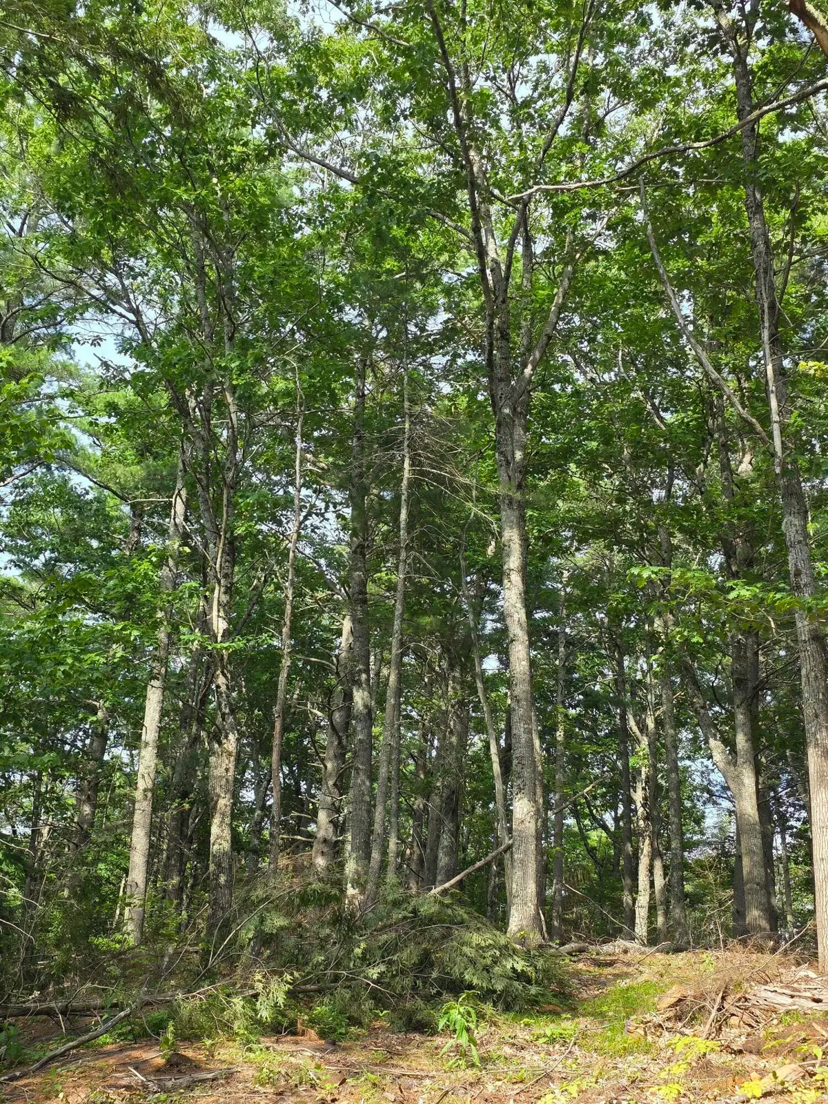 00 Pinnacle Road, Liberty, ME 04949 - #1