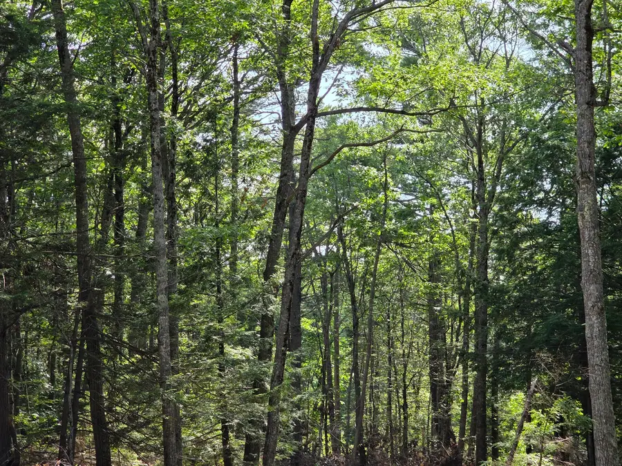 00 Pinnacle Road, Liberty, ME 04949 - #3
