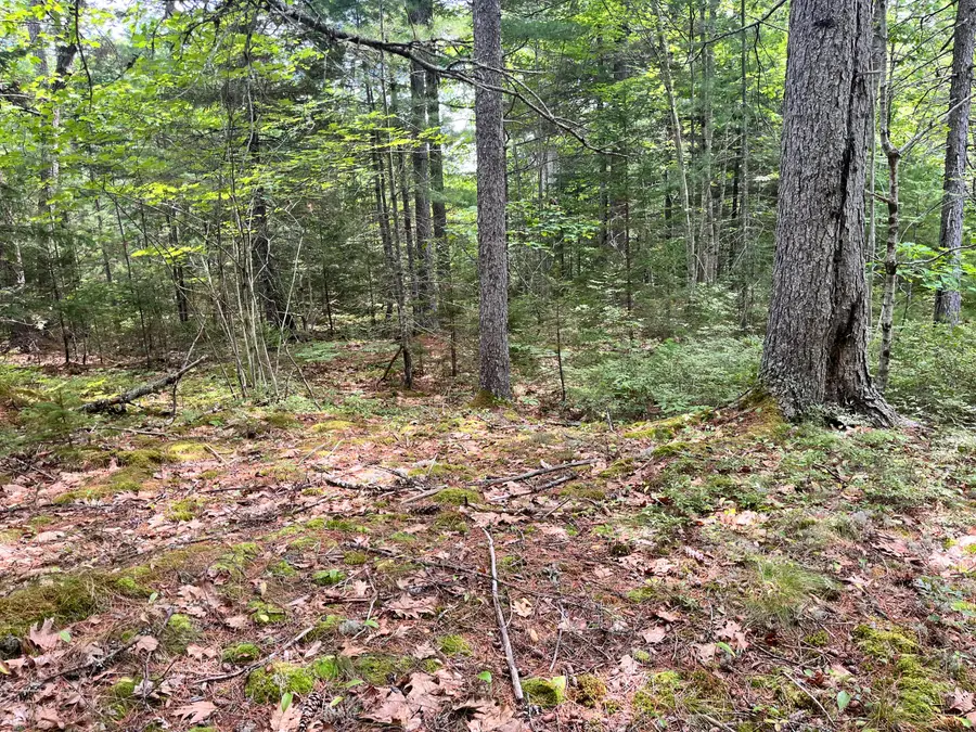 Lot 5 Will Butler Lane, Bremen, ME 04551 - #2