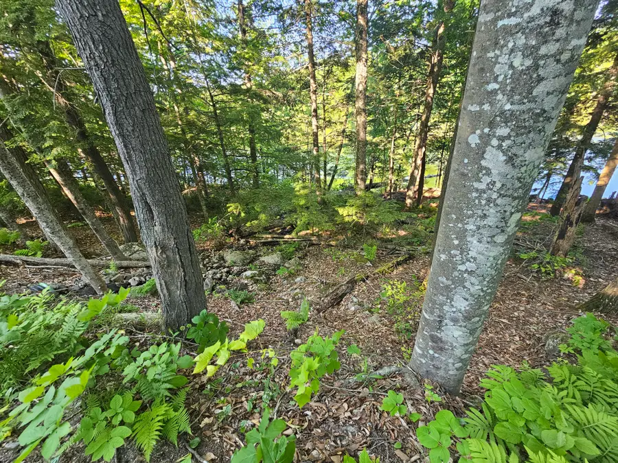 PO-L5,6,9G Great Moose Drive, Hartland, ME 04493 - #2