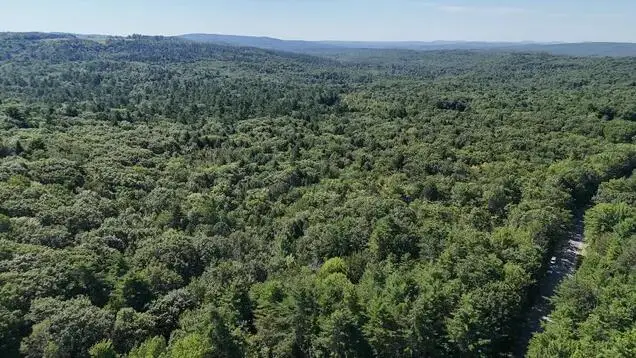 Lot 42-A Station Road, Hebron, ME 04238 - #3