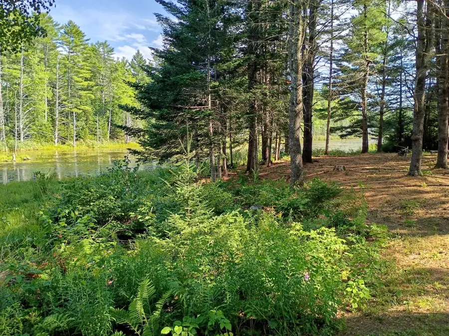495 Dahlia Farm Road, Monroe, ME 04951 - #3