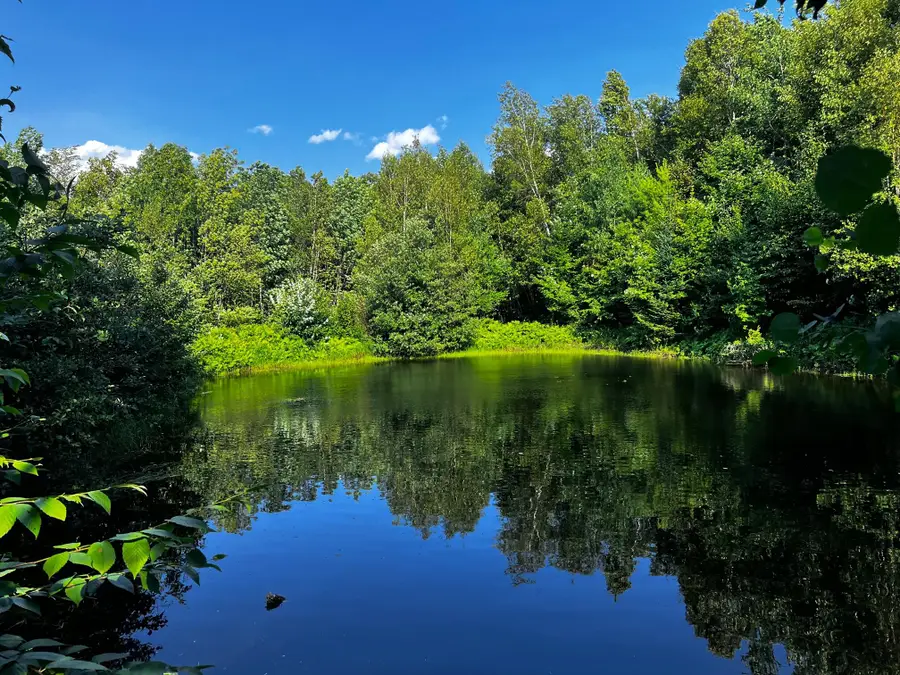 48 Richmond Road, East Central Franklin, ME 04970 - #2