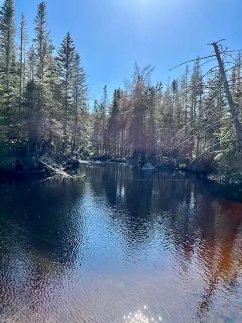 Lot 19-2 Valley Road, Columbia, ME 04623 - #2