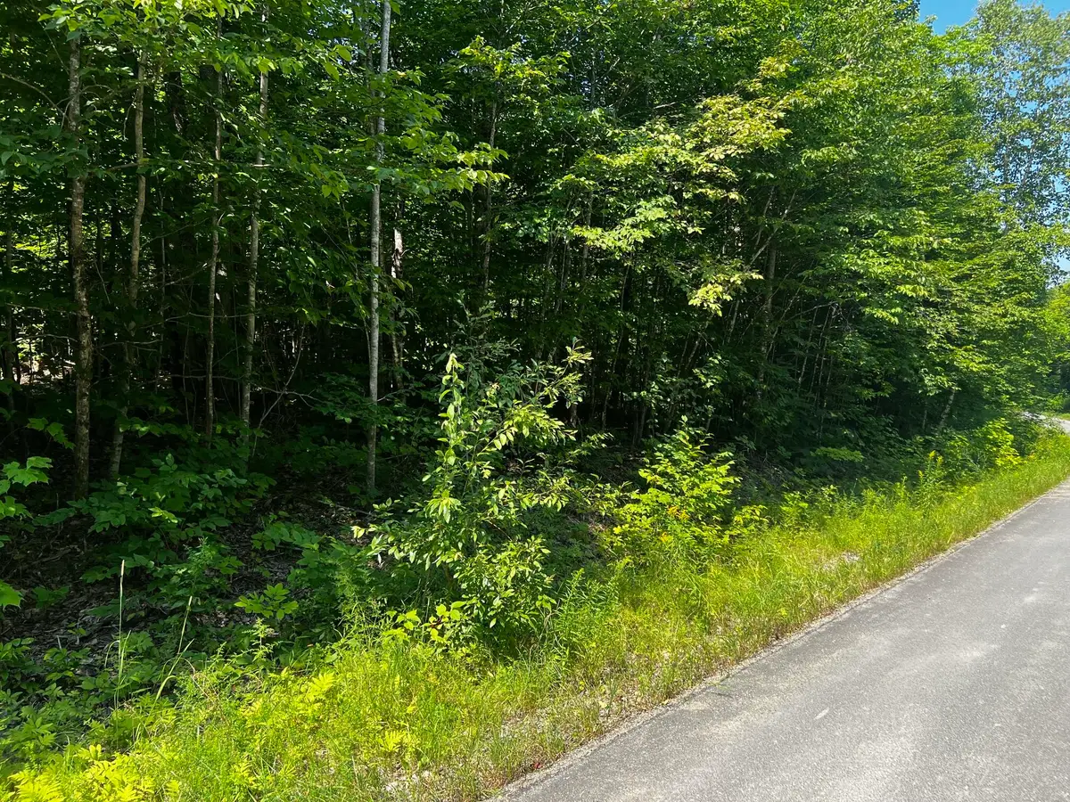 Lot  14-4 Baker Ridge Road, Danforth, ME 04424 - #1