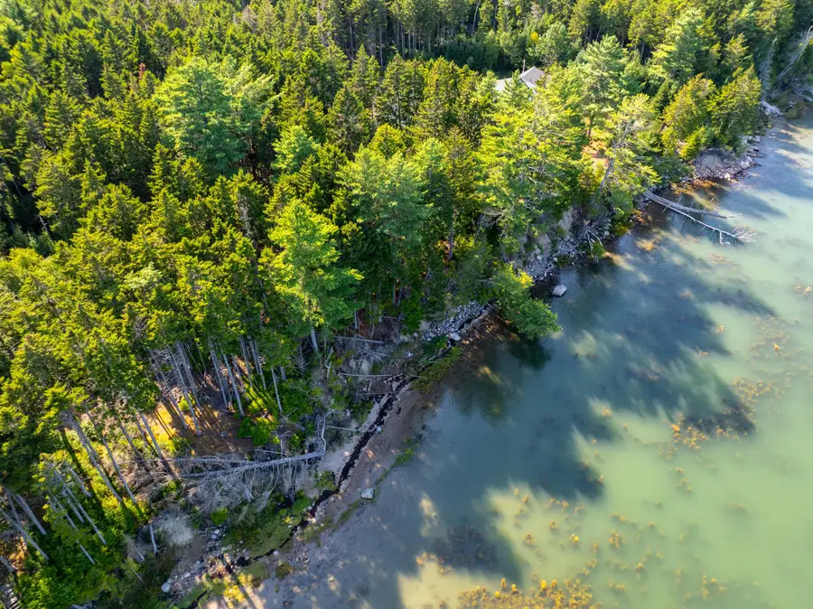 M57, L20 Paul Bunyan Road, Gouldsboro, ME 04607 - #3