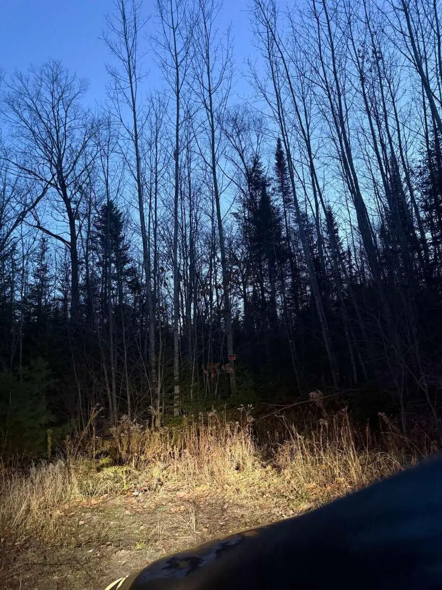 Lot 3 Ariel Street, Lincoln, ME 04457 - #1