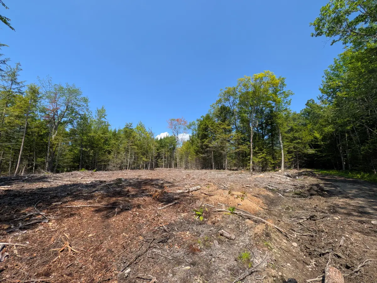 Lot 9A Maple Ridge Road, Harrison, ME 04040 - #1