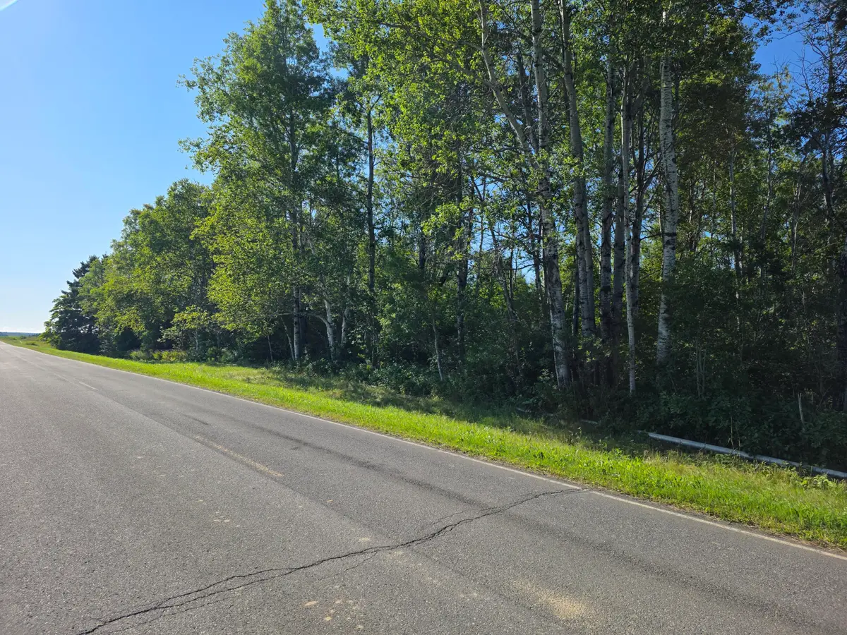 1103 Jemtland Road, Connor, ME 04736 - #1