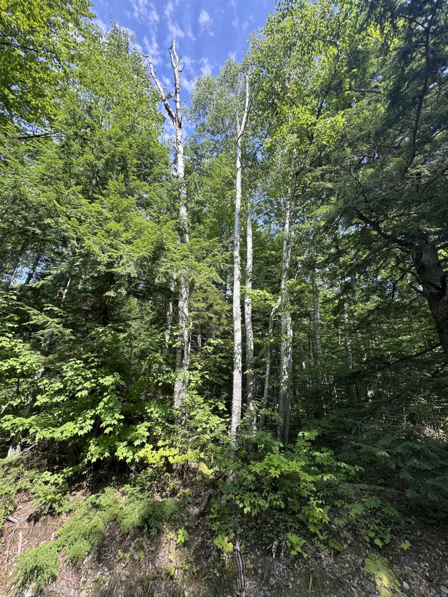 176 Worcester Highway, Harmony, ME 04443 - #3
