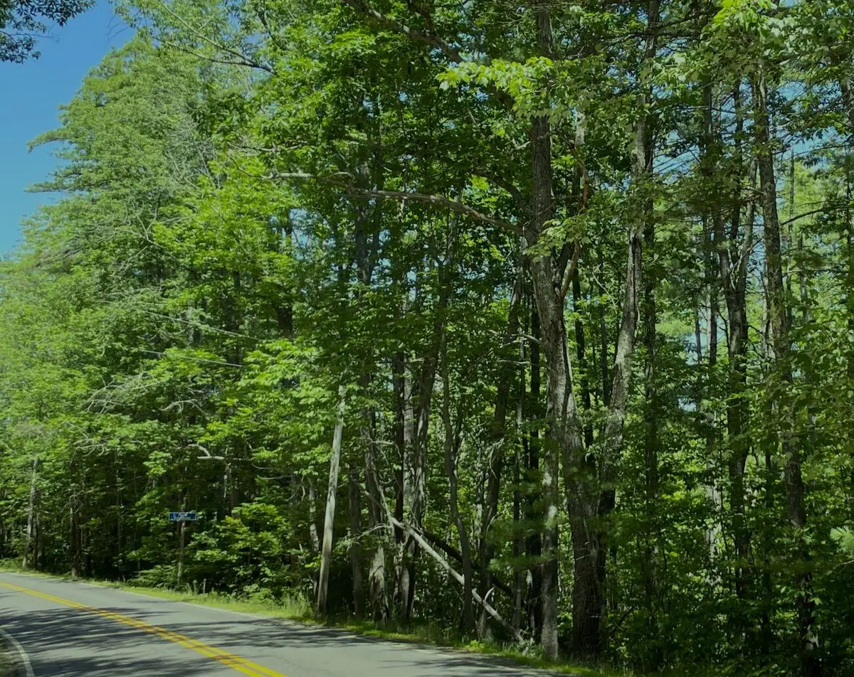 Map 5 Lot 22a Punk Point Road, Jefferson, ME 04348 - #1