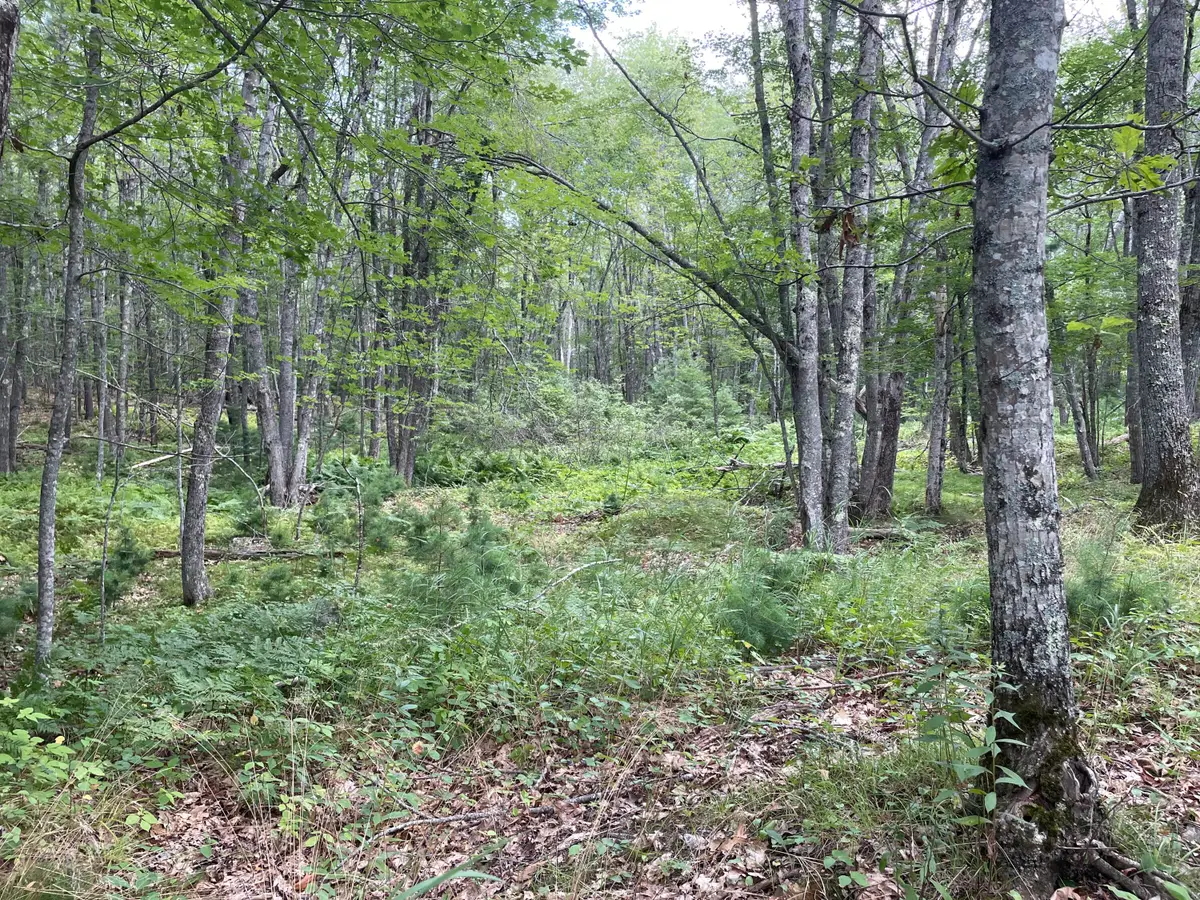 M3 L27-6 Arrowsic Road, Arrowsic, ME 04530 - #1