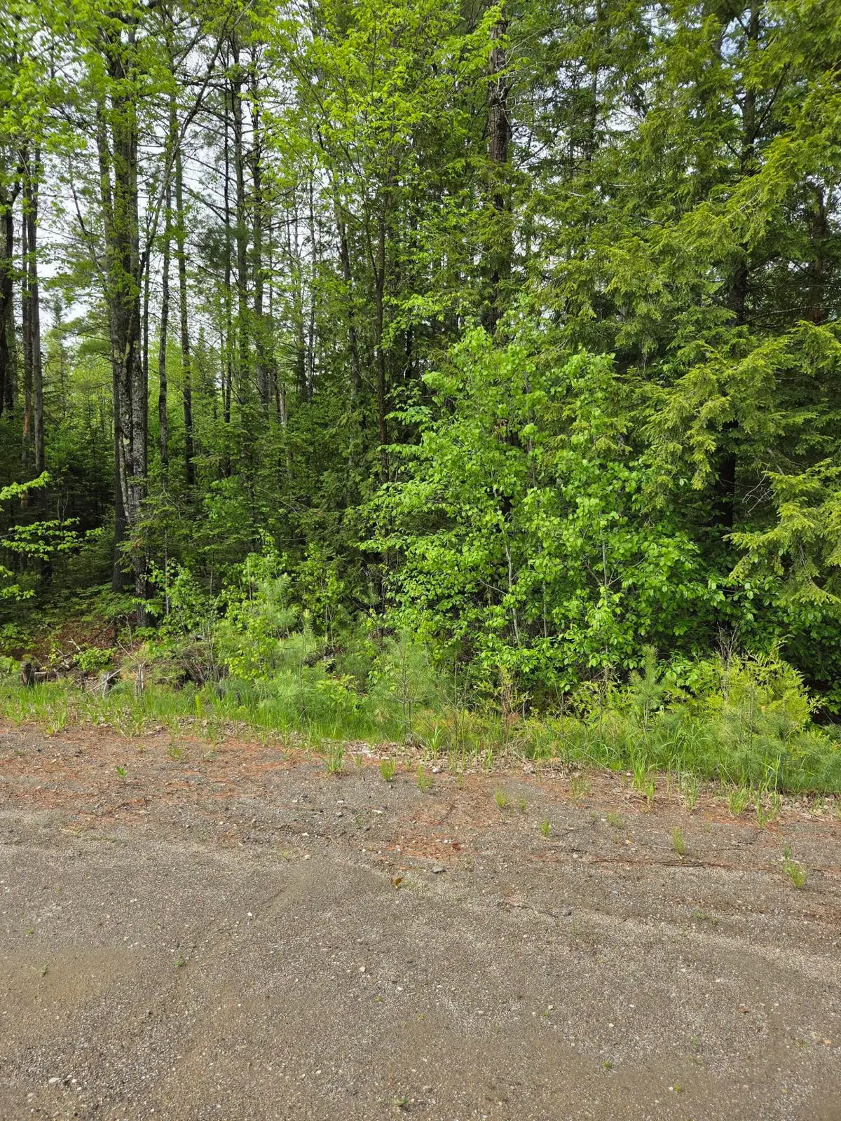 Lot 81-1 Lower Detroit Road, Plymouth, ME 04969 - #1