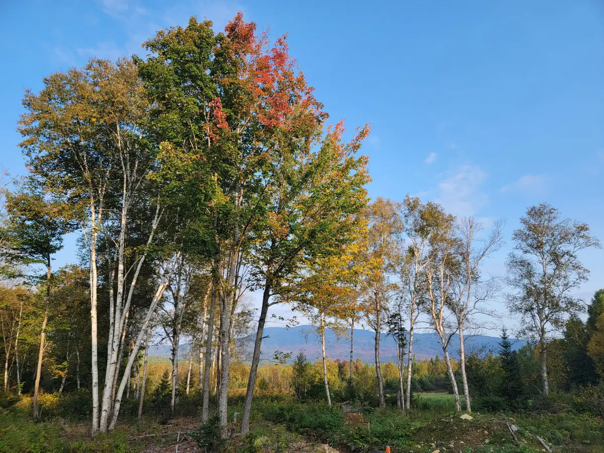 41-109 Big Snow Way, Rangeley, ME 04970 - #1