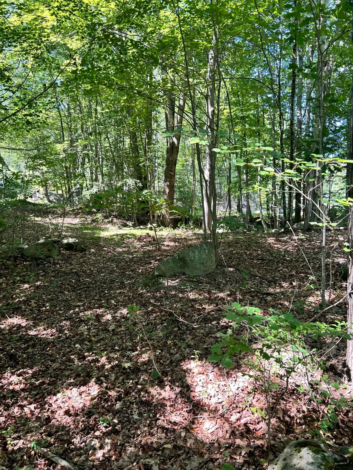 0 Poor Farm Road, Lyman, ME 04002 - #1
