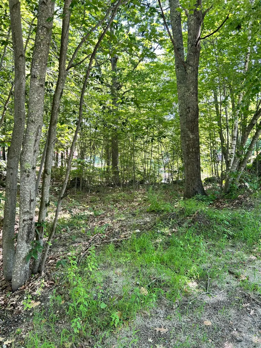 0 Poor Farm Road, Lyman, ME 04002 - #2