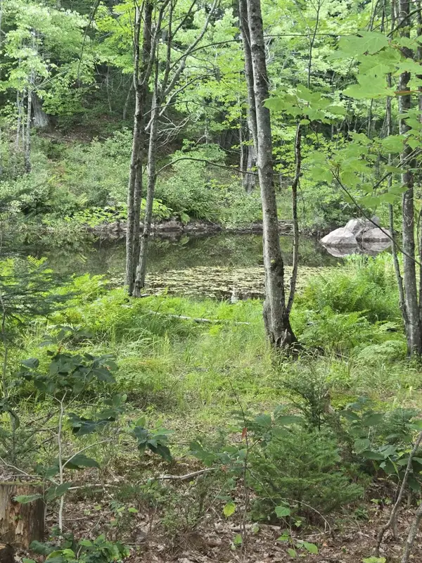 Lot12 River Road #Lot 12, Sumner, ME 04292