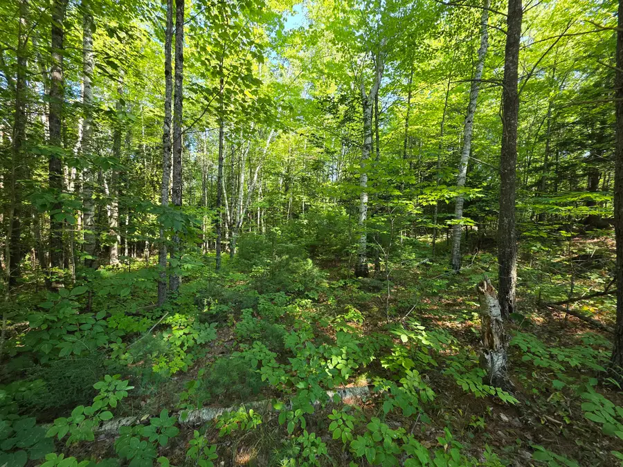 M2 L45-04 Lowell Road, Enfield, ME 04493 - #2