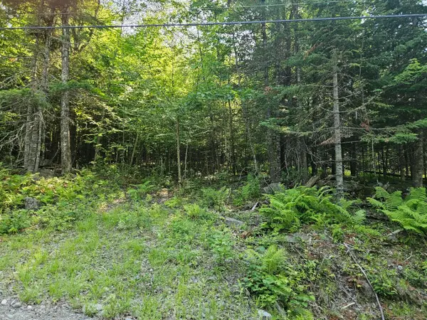 Lot 2-C Rips Road, Brownville, ME 04414