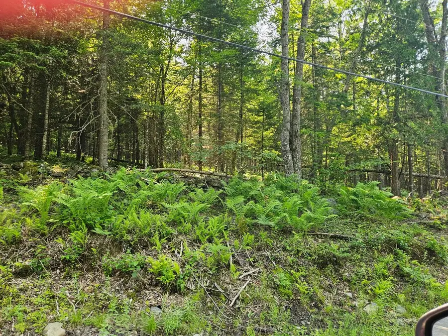 Lot 2-C Rips Road, Brownville, ME 04414 - #3
