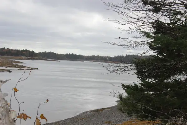 Lot #5 Hardy Point Road, Pembroke, ME 04666