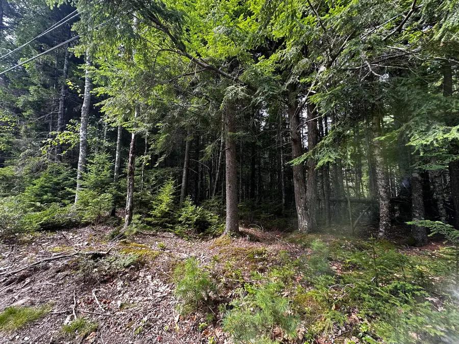 002-005 Ripples Road, Mount Desert, ME 04660 - #3